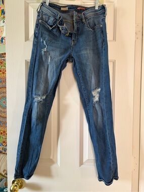 Pilcro Skinny Distressed Blue Jeans